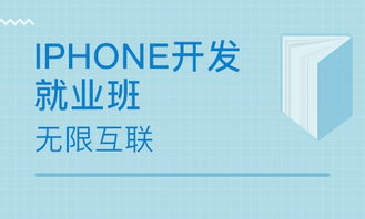 北京八角地區(qū)軟件開(kāi)發(fā)培訓(xùn)與技術(shù)服務(wù)市場(chǎng)概述